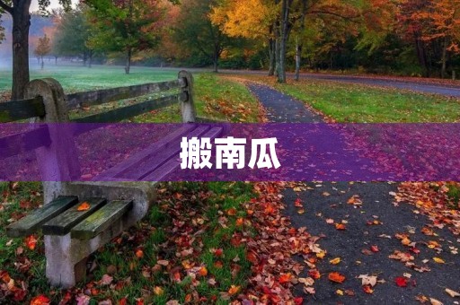 搬南瓜 搬南瓜