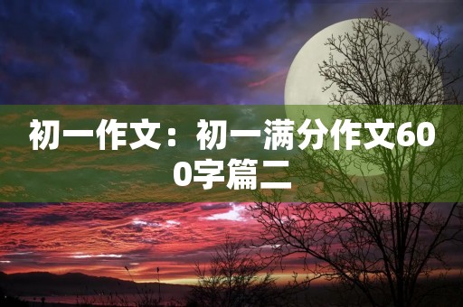 初一作文：初一满分作文600字篇二