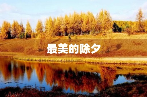 最美的除夕 最美的除夕