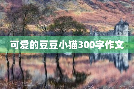 可爱的豆豆小猫300字作文