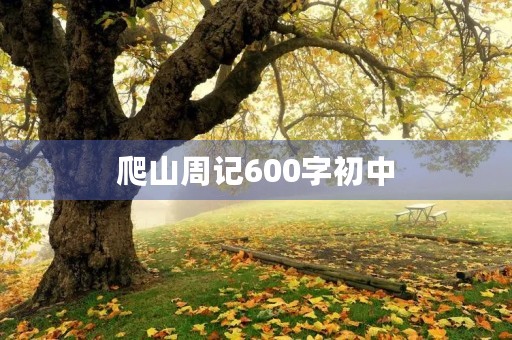 爬山周记600字初中