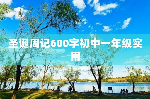 圣诞周记600字初中一年级实用
