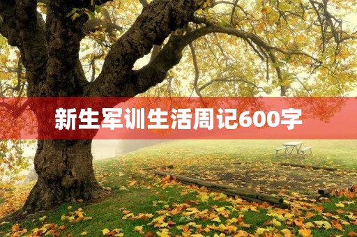 新生军训生活周记600字 新生军训生活周记600字