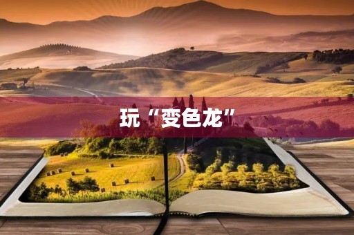 玩“变色龙” 玩“变色龙”