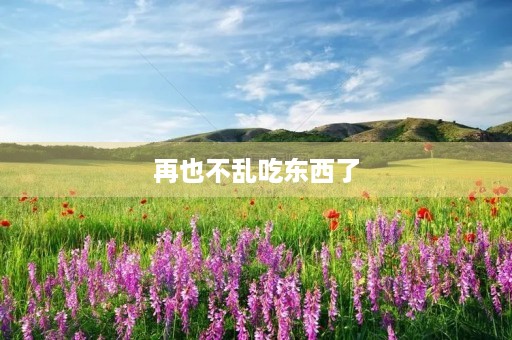 再也不乱吃东西了