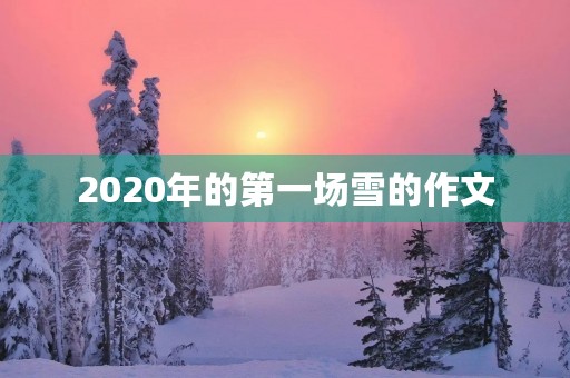 2020年的第一场雪的作文