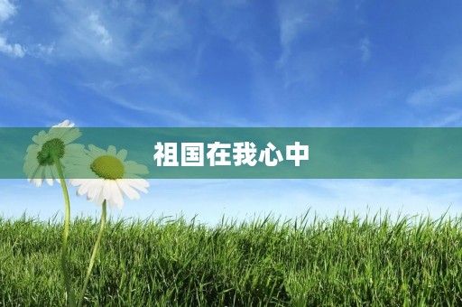 祖国在我心中