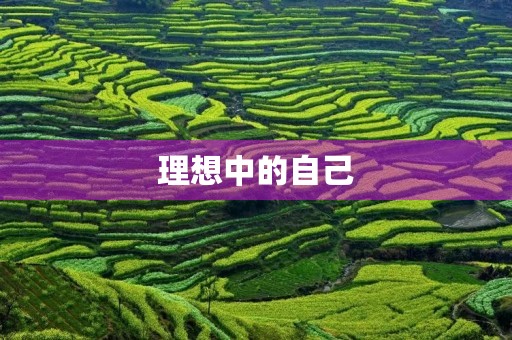 理想中的自己 理想中的自己