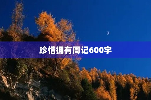 珍惜拥有周记600字