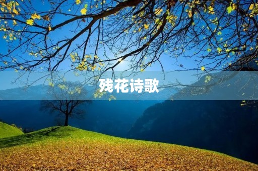 残花诗歌