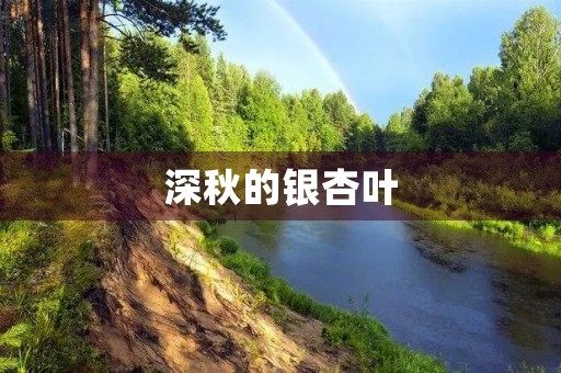 深秋的银杏叶