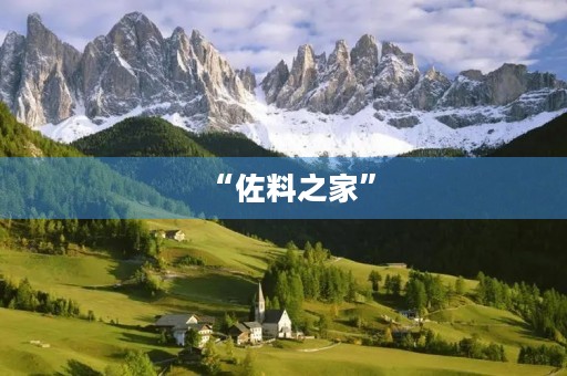 “佐料之家” “佐料之家”