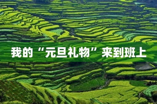 我的“元旦礼物”来到班上 我的“元旦礼物”来到班上