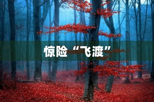 惊险“飞渡” 惊险“飞渡”