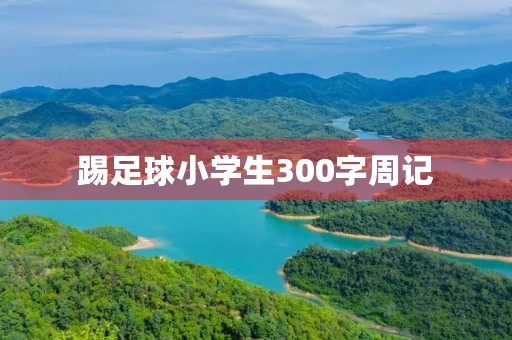 踢足球小学生300字周记 踢足球小学生300字周记