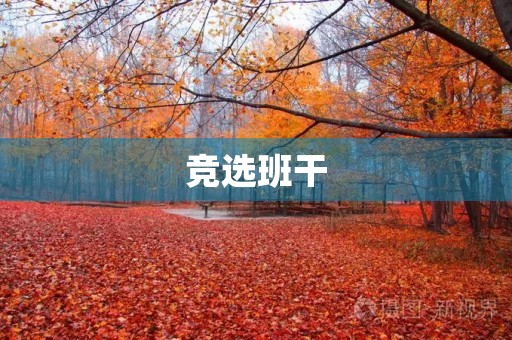 竞选班干 竞选班干