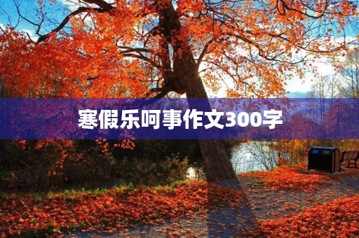 寒假乐呵事作文300字