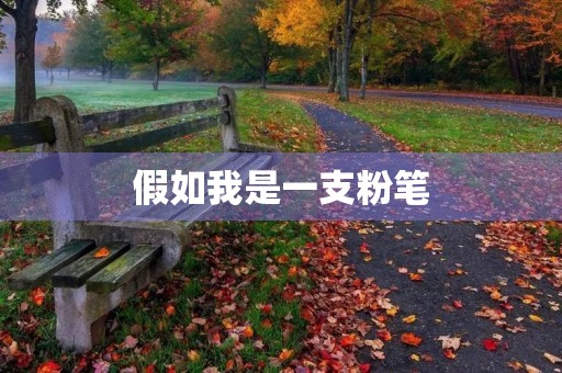 假如我是一支粉笔 假如我是一支粉笔