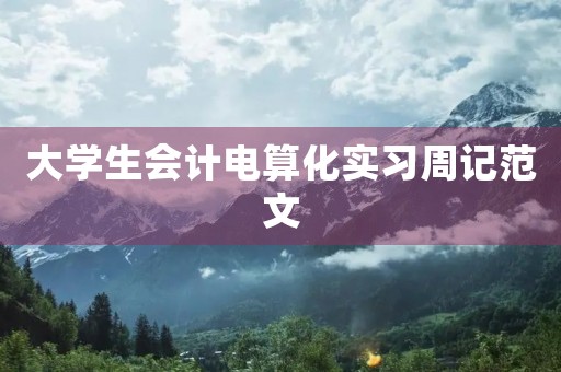 大学生会计电算化实习周记范文 大学生会计电算化实习周记范文