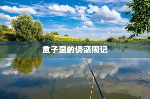盒子里的诱惑周记 盒子里的诱惑周记