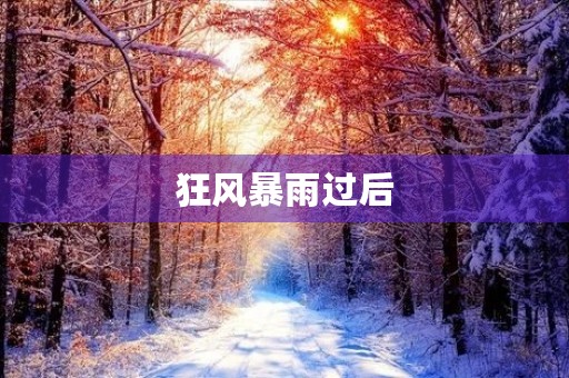 狂风暴雨过后 狂风暴雨过后