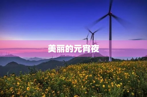 美丽的元宵夜 美丽的元宵夜