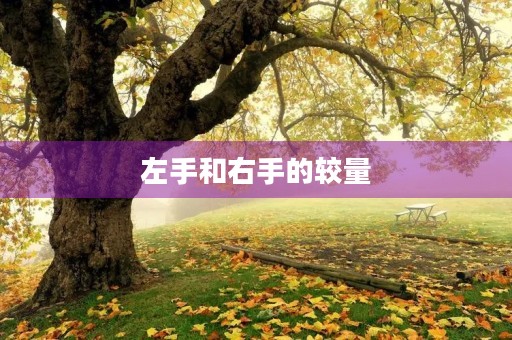 左手和右手的较量 左手和右手的较量