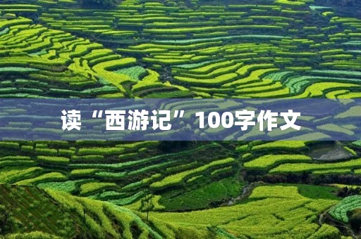 读“西游记”100字作文