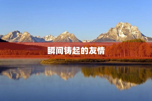 瞬间铸起的友情 瞬间铸起的友情