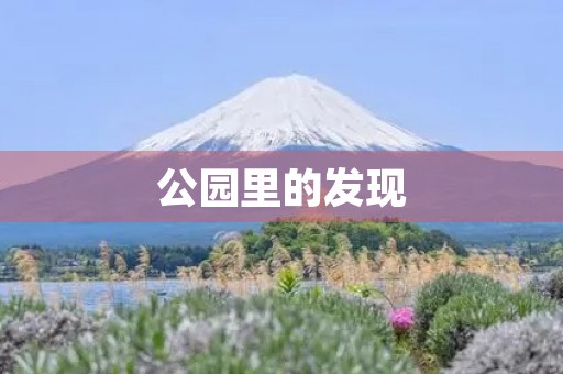 公园里的发现 公园里的发现