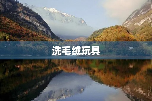 洗毛绒玩具 洗毛绒玩具
