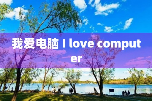 我爱电脑 I love computer