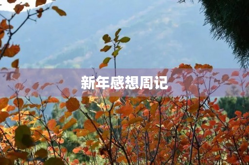 新年感想周记 新年感想周记