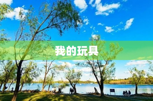 我的玩具