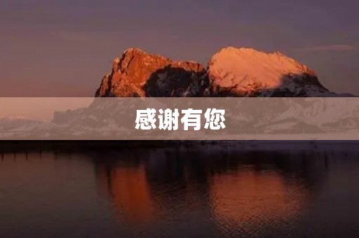 感谢有您