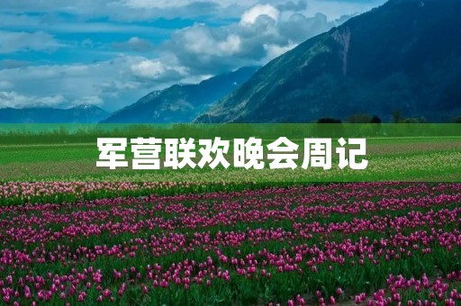 军营联欢晚会周记 军营联欢晚会周记
