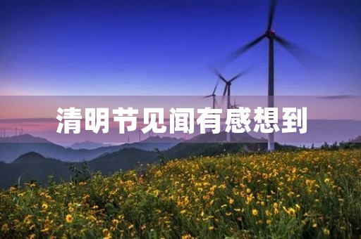 清明节见闻有感想到