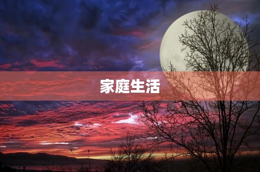 家庭生活