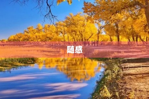 随感 随感
