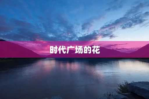 时代广场的花 时代广场的花