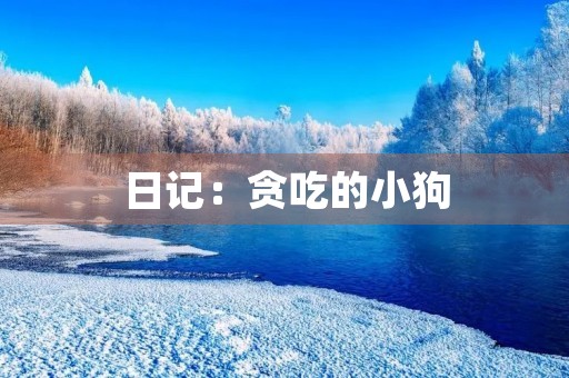 日记:贪吃的小狗 日记:贪吃的小狗