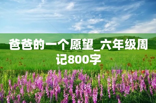 爸爸的一个愿望_六年级周记800字 爸爸的一个愿望_六年级周记800字