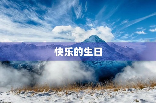 快乐的生日