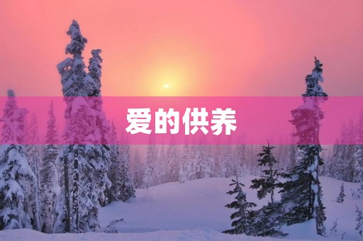 爱的供养