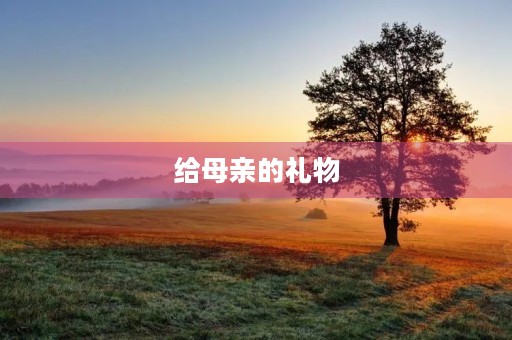 给母亲的礼物 给母亲的礼物