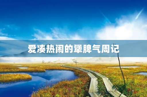 爱凑热闹的犟脾气周记