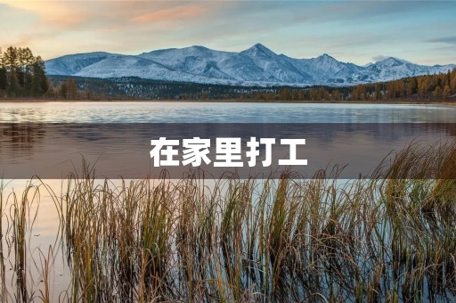 在家里打工 在家里打工