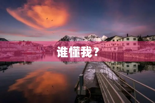 谁懂我? 谁懂我?