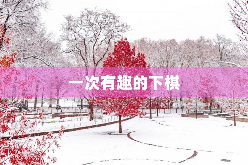 一次有趣的下棋