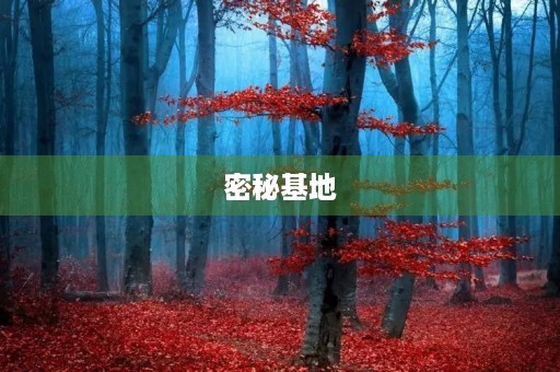密秘基地 密秘基地